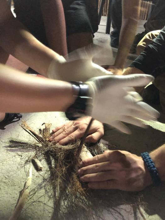 uvf18_fieldtrip_23.jpg uvf18_fieldtrip_23.jpg