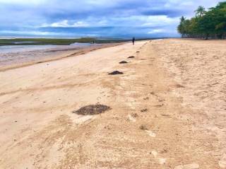 bohol_microplastics_01.jpg