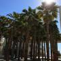 nyuad_campus_img_1823.jpg