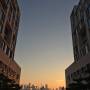 nyuad_campus_img_img_9697.jpg