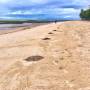 bohol_microplastics_01.jpg