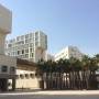 nyuad_campus_img_img_3457.jpg