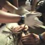 uvf18_fieldtrip_23.jpg