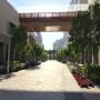 nyuad_campus_img_img_0459.jpg