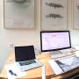 felix_office_c1_153.jpg
