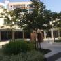 nyuad_campus_img_3454.jpg